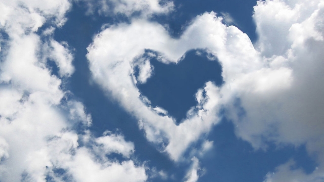 室内蹦极悄然引领健身新潮流