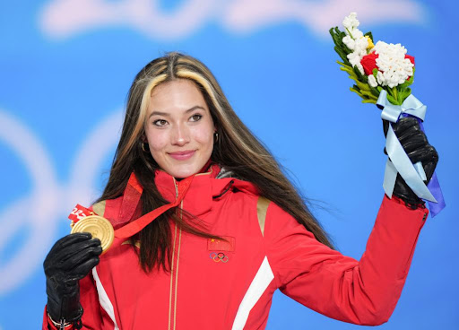 安博公司：小学生乒乓球台